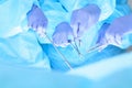 Close-up of unknown surgeons at work while operating at hospital. Health care and veterinary concept Royalty Free Stock Photo