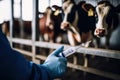 veterinarian in latex gloves preparing a cow vaccination syringe at the farm