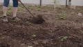 Close up of unrecognizable person plowing ground with hoe in kitchen garden. Unknown woman weeding vegetable garden with
