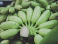 Close up. Unripe fresh bananas was cutted by knife