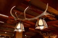 Close up of unusual chandelier made of deer horns or antlers hanging indoors of home or hotel, no people. Brown beige colours.