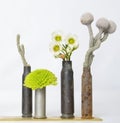 Close Up Used Bullet Casings Filled with Plants and Flowers on W