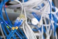 Close-up UTP LAN network cable and Lots of Ethernet cables background for connect computer and network Royalty Free Stock Photo