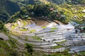 Close up on the valley with 2 000 years old rice terraces, Batad, Philippines Royalty Free Stock Photo