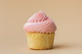 Close-up of vanilla cupcake with pink whipped butter cream top. Cream cheese frosting on muffin decorated with little pink heart Royalty Free Stock Photo