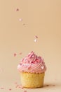 Close-up of vanilla cupcake with pink whipped butter cream top. Cream cheese frosting on muffin decorated with little pink heart Royalty Free Stock Photo