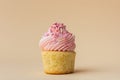 Close-up of vanilla cupcake with pink whipped butter cream top. Cream cheese frosting on muffin decorated with little pink heart Royalty Free Stock Photo