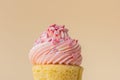 Close-up of vanilla cupcake with pink whipped butter cream top. Cream cheese frosting on muffin decorated with little pink heart Royalty Free Stock Photo