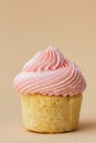 Close-up of vanilla cupcake with pink whipped butter cream top. Cream cheese frosting on muffin decorated with little pink heart Royalty Free Stock Photo