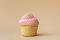 Close-up of vanilla cupcake with pink whipped butter cream top. Cream cheese frosting on muffin decorated with little pink heart Royalty Free Stock Photo