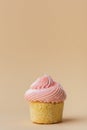 Close-up of vanilla cupcake with pink whipped butter cream top. Cream cheese frosting on muffin decorated with little pink heart Royalty Free Stock Photo