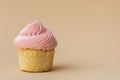 Close-up of vanilla cupcake with pink whipped butter cream top. Cream cheese frosting on muffin decorated with little pink heart Royalty Free Stock Photo