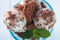 Close up of vanilla ice cream balls with chocolate biscuits Royalty Free Stock Photo