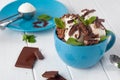 Close up of vanilla ice cream balls covered with chocolate biscuits in the cup Royalty Free Stock Photo