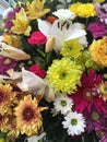 Close up of variety of colourful flowers with red, yellow and orange