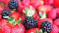 Close up of various berries including raspberries, strawberries and blackberries Royalty Free Stock Photo