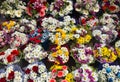 Close Up Various Colorful Flowers In Florist