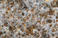 A close up of various coloured and size pebbles on a beach that are partly covered in water with lots of bubbles