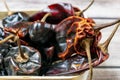 Close up of various dried Pasilla, Cascabel, Guajillo hot chili peppers.