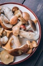 Close-up various edible mushrooms on a plate on a dark rustic background Royalty Free Stock Photo