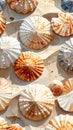 Close-up of Various Seashells on Sandy Beach Royalty Free Stock Photo