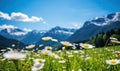 Close-up vast field of delicate white daisies under a clear sky, with towering alpine mountains in the backdrop. Created by AI Royalty Free Stock Photo
