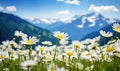 Close-up vast field of delicate white daisies under a clear sky, with towering alpine mountains in the backdrop. Created by AI Royalty Free Stock Photo