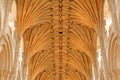 Close-up on the vaulted roof of The Cathedral Royalty Free Stock Photo