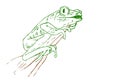 Close Up Vector Hand Draw Sketch, Frog at Small Branch