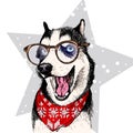 Close up vector portrait of Siberian husky dog wears winter bandana and glasses. Isolated on star. Skecthed color Royalty Free Stock Photo