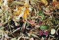 Vegetable Compost Pile