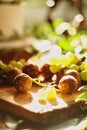 close-up, vegetarian coconut candies, with grapes, on a table with a sunbeam