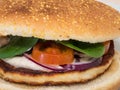 Close-up of a vegetarian halloumi burger.