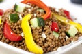 Close Up Vegetarian Lentil Salad