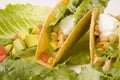 Close up of Vegetarian Tacos