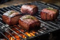 close-up of venison steaks on a campfire grill