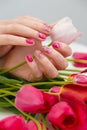 Close up vertical shot of woman hands with spring manicure holding pink tulip on tulips bouquet background. Royalty Free Stock Photo