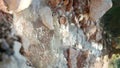 Close-up vertical video of the purest transparent water in a mountain river flowing among the stones