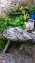 Close-up vertical view of a small wooden chair in a garden Royalty Free Stock Photo