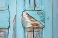 Close-up of very old grungy wooden weathered door. Royalty Free Stock Photo