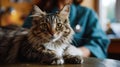 Close-up of a Veterinarian Examining a Pet - AI Generated