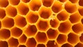 Close-up of a Vibrant and Beautiful Honeycomb Structure