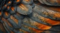 Close-up of Vibrant Bird Feathers