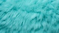 Close up of vibrant blue texture of soft fur with various shades of emerald. Dyed animal fur. Concept is Softness Royalty Free Stock Photo