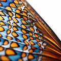 Close Up of a Vibrant Butterfly Wing