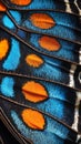 Close-up of vibrant butterfly wing pattern in blue and orange Royalty Free Stock Photo
