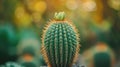 close-up of vibrant cactus against blurred background, created with generative ai