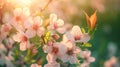 Close-up of vibrant Cherry Blossom in full bloom