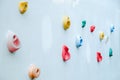 Colorful climbing holds on wall