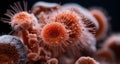 Close-up of a vibrant coral reef, showcasing its intricate structure and vivid colors